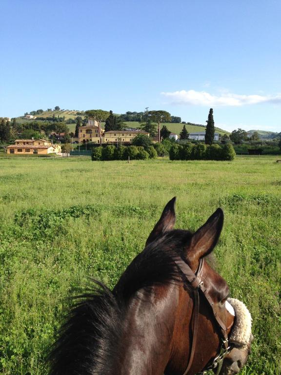 Agriturismo Villa Irelli Castellalto Zewnętrze zdjęcie